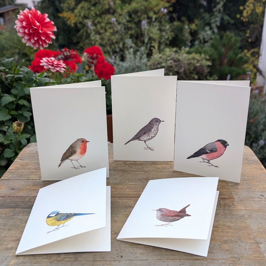 Klappkarten mit Vogelmotiven