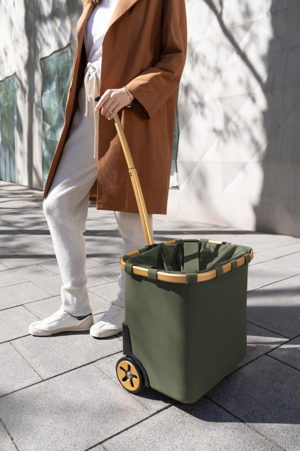 carrycruiser