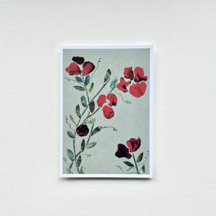 Postkarte Wicke