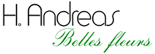 H. Andreas GmbH