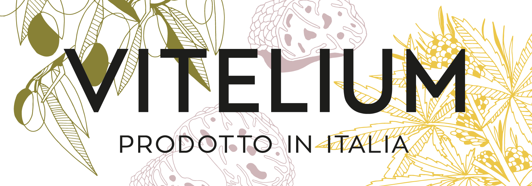 Vitelium GmbH