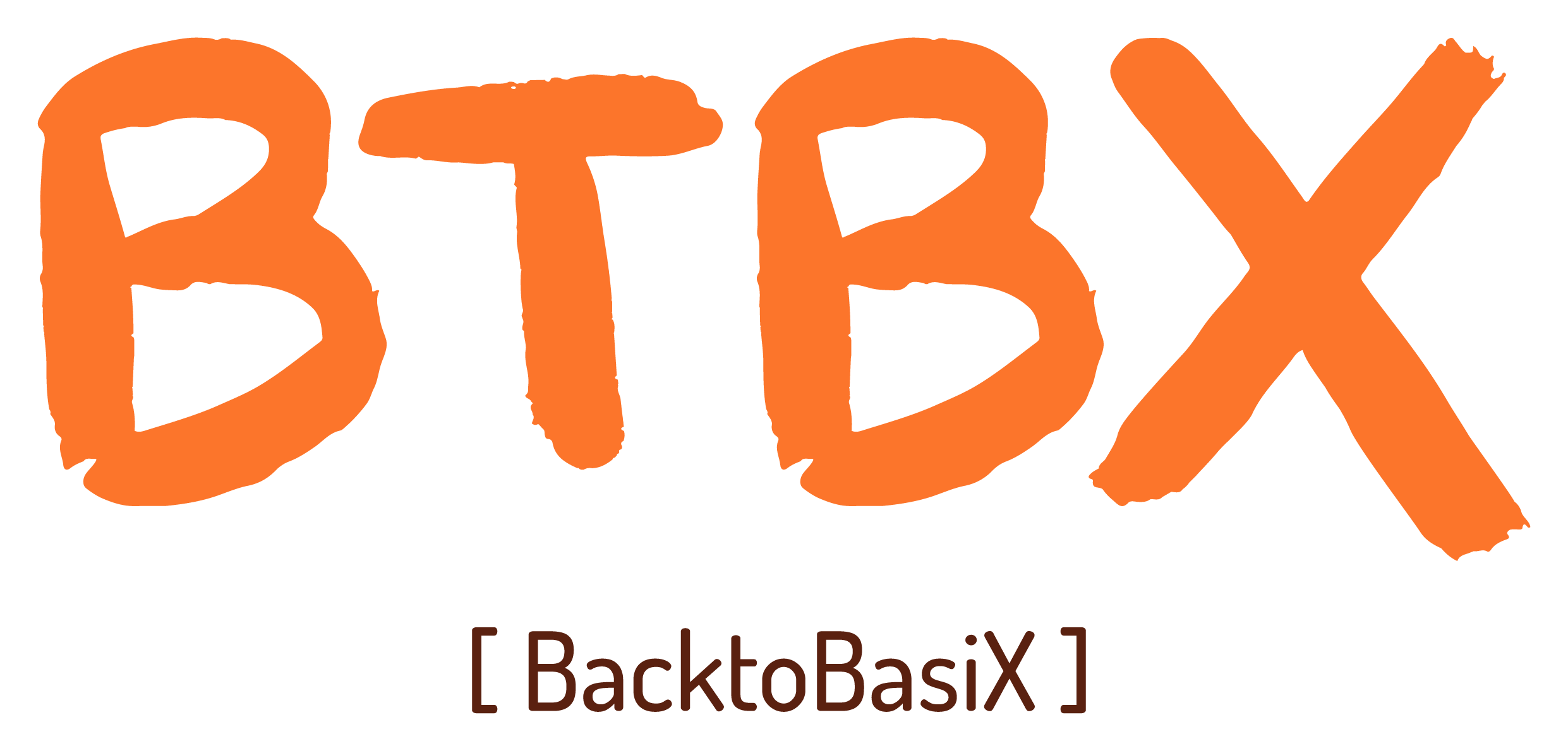 BacktoBasiX bv