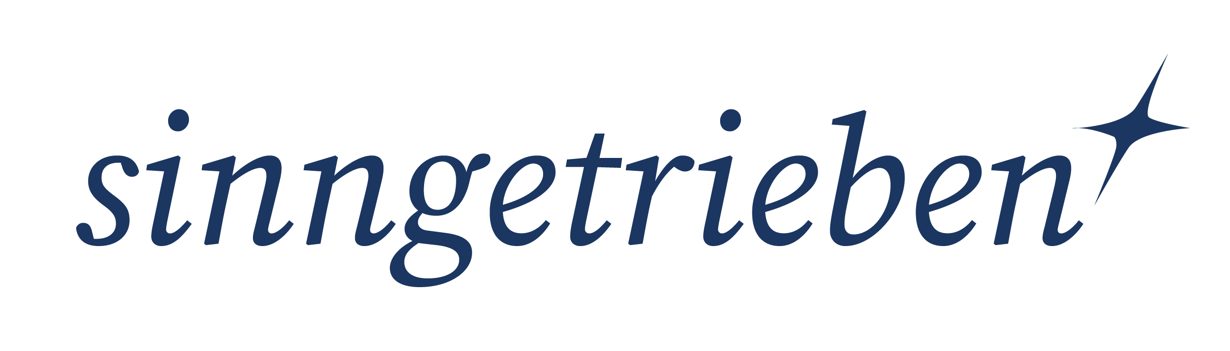 sinngetrieben