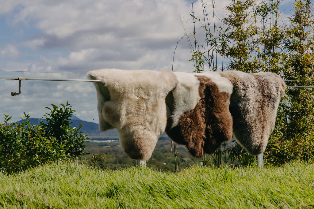 Rare Natural Coloured Sheepskin Rugs