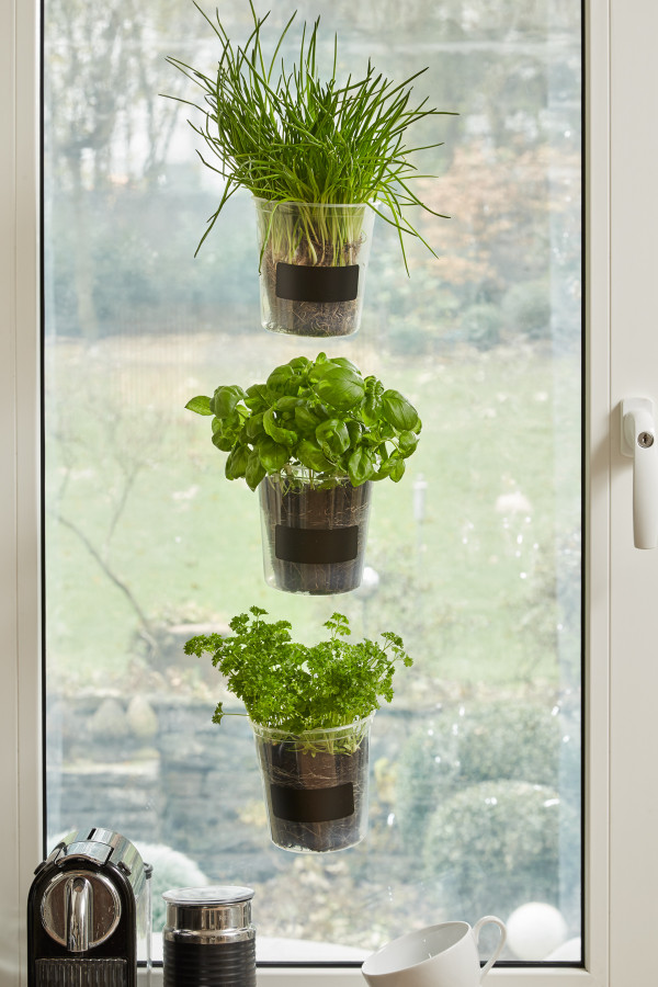 Indoor Kräutergarten für die Küche!